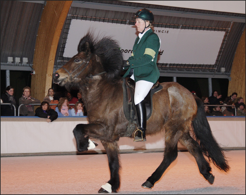 Josien met Skyggnir van de Kraatshoef tijdens Horses On Ice 2007 - foto Annet Eveleens